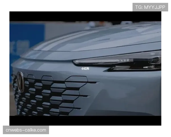 突发：因场地照明系统故障，一场职业联赛被迫延期至次日举行