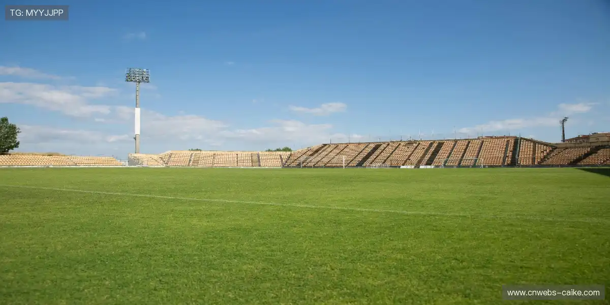 ⚽ 智能战术沙盘还原，深度观赛更有料，战术奥秘一目了然！🧠